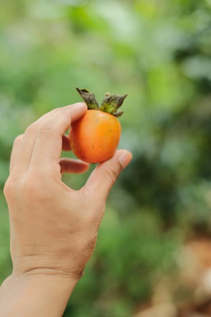 5-Day Clean Eating Meal Plan to Reset Your Body