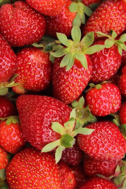 The Ultimate Guide to Whole Foods for Beginners